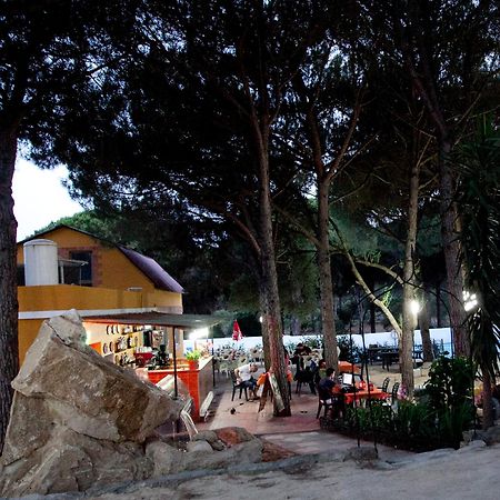 Camping Vejer Vejer de la Frontera Eksteriør bilde